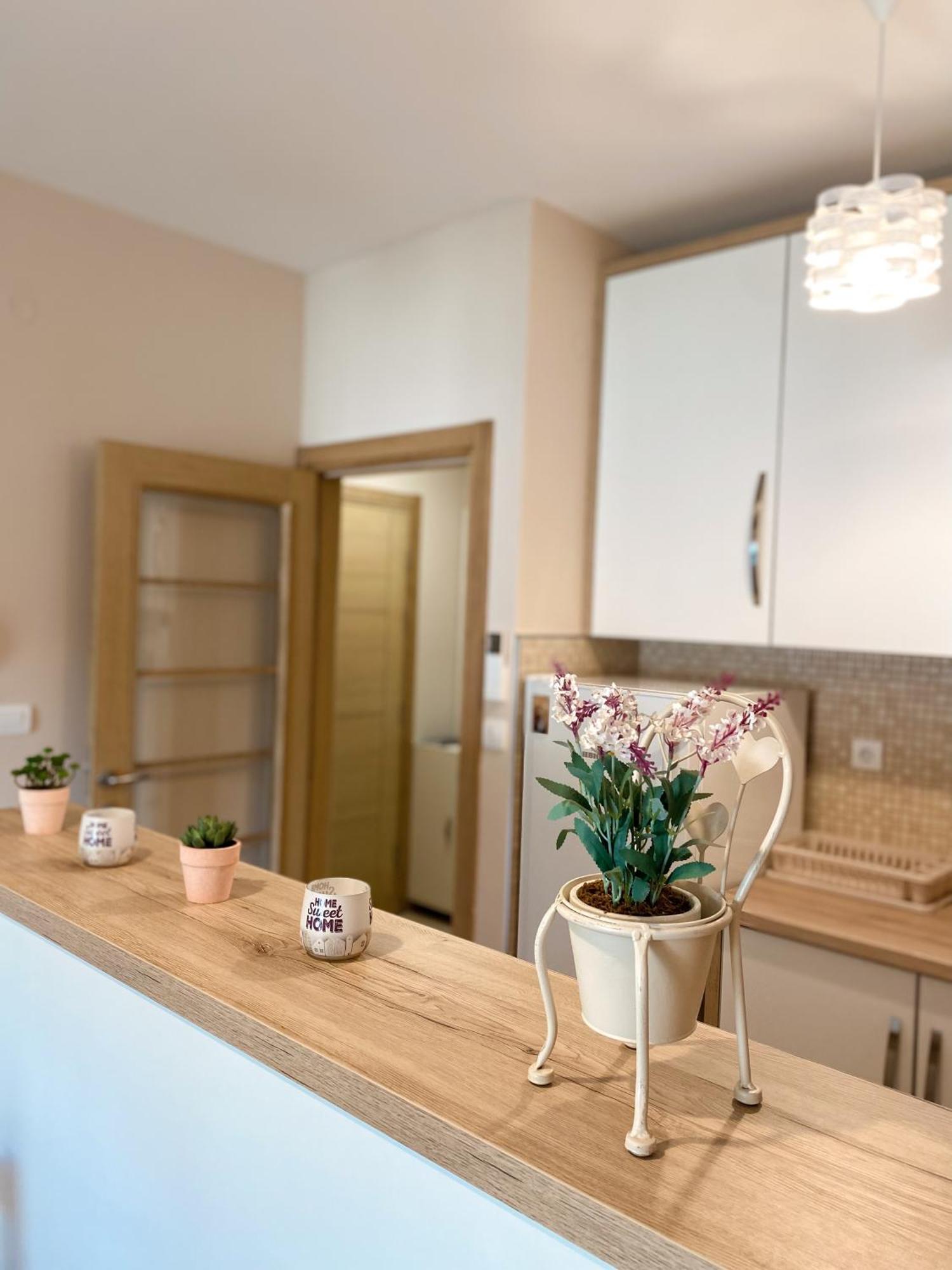 Apartment Vanja Przno *